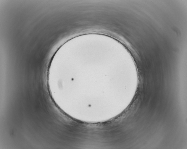 X0000111251512200908131156