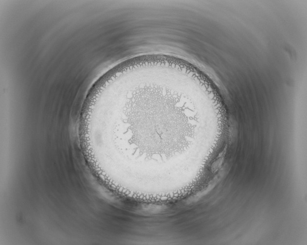 X0000111251513200908131156