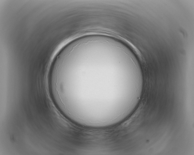 X0000111251514200908131156