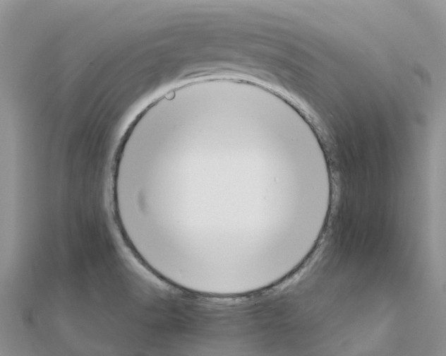 X0000111251518200908131156