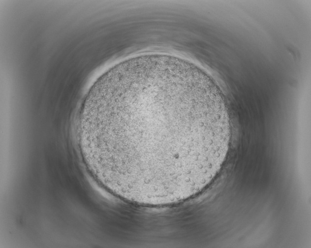 X0000111251519200908131156