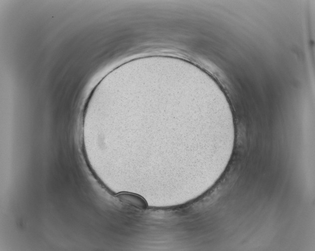 X0000111251520200908131156