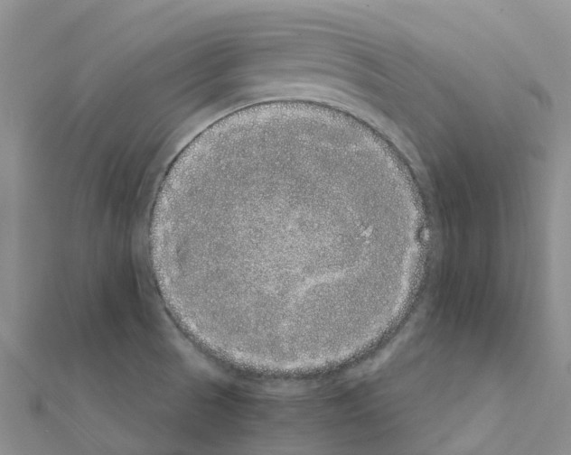 X0000111251521200908131156