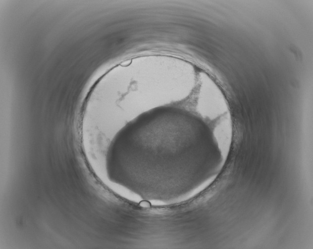 X0000111251522200908131156