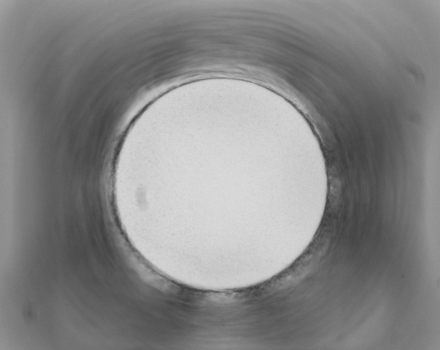 X0000111251523200908131156