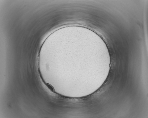 X0000111251524200908131156