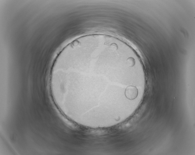 X0000111251525200908131156