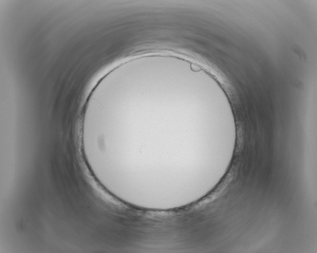 X0000111251526200908131156