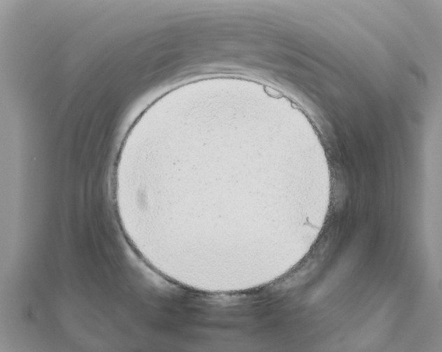 X0000111251527200908131156