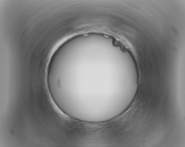 X0000111251528200908131156