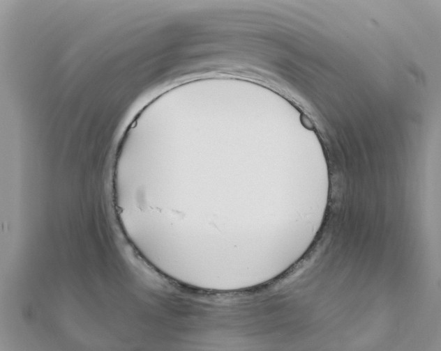 X0000111251530200908131156