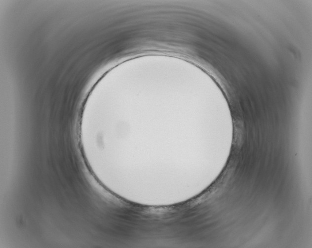 X0000111251531200908131156