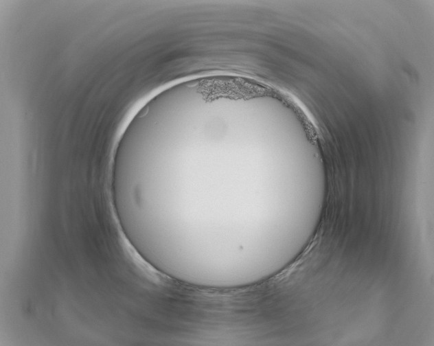 X0000111251532200908131156