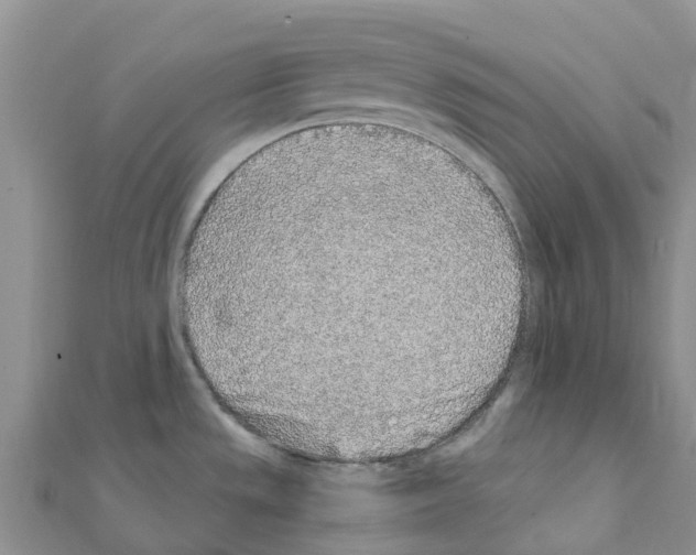 X0000111251533200908131156