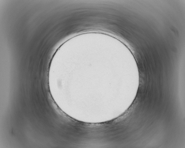 X0000111251534200908131156