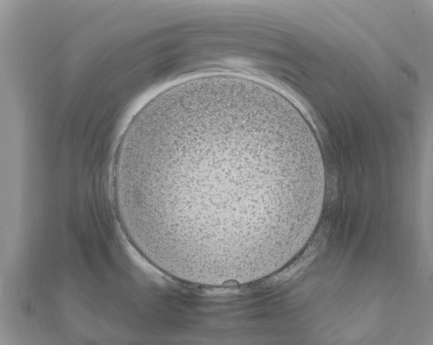 X0000111251535200908131156