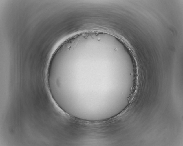 X0000111251536200908131156