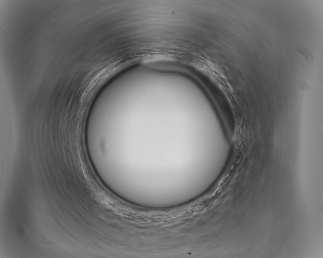X0000111350001200907100945