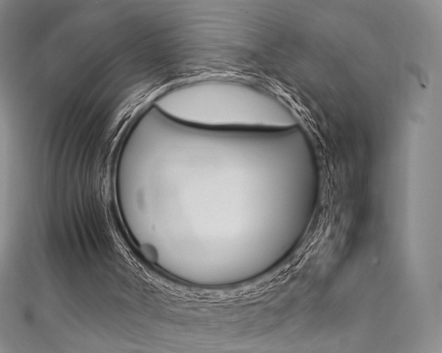 X0000111350002200907100944