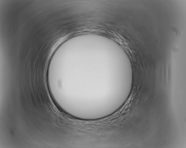 X0000111350003200907100944