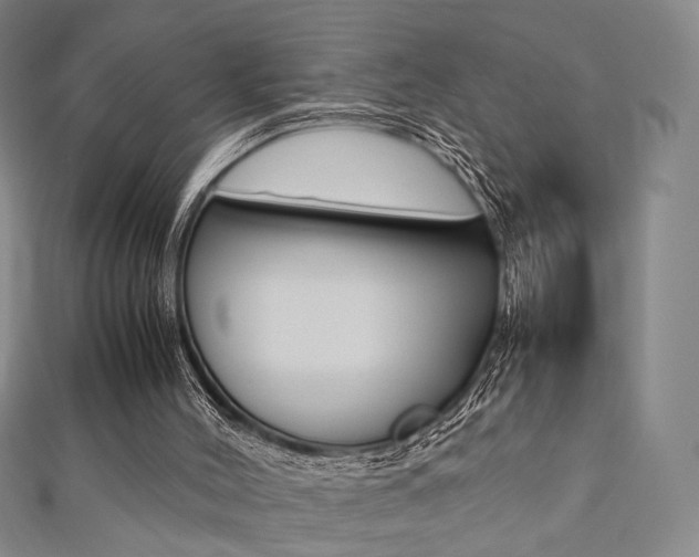 X0000111350004200907100944