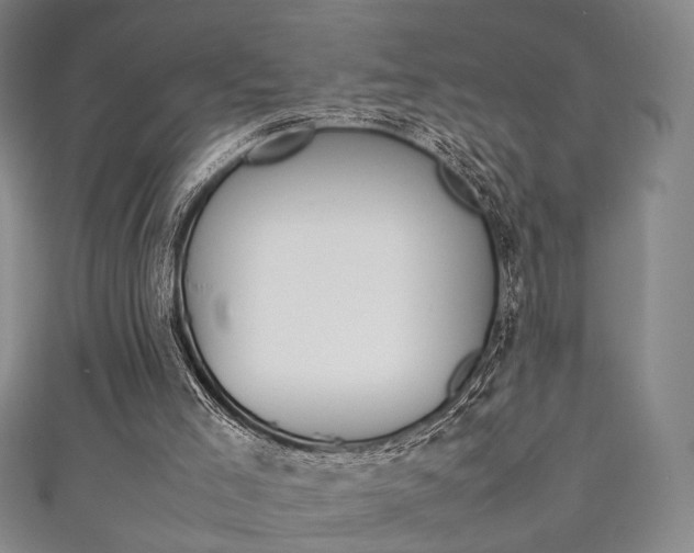 X0000111350005200907100944