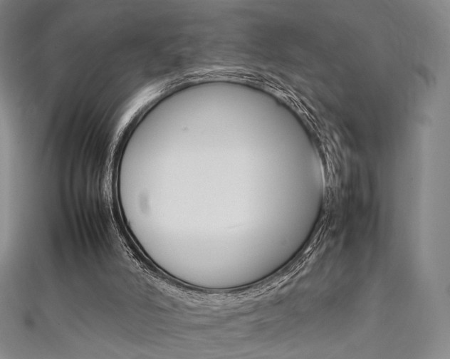 X0000111350006200907100944