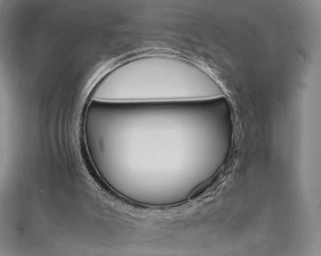 X0000111350007200907100944