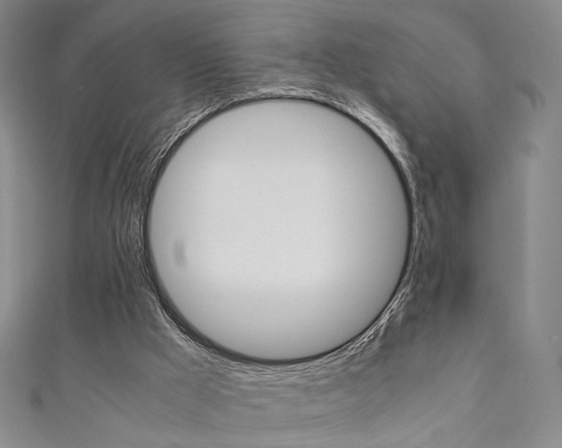 X0000111350009200907100944