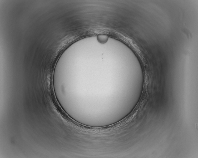 X0000111350010200907100944
