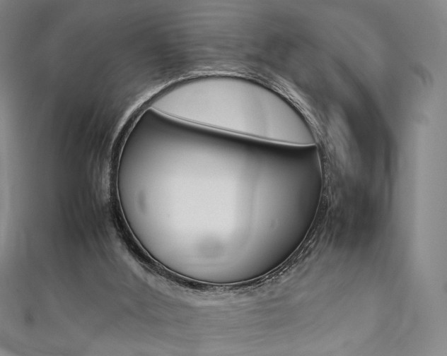 X0000111350012200907100944