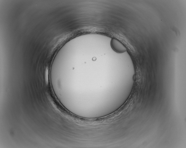 X0000111350014200907100944