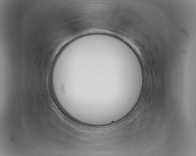 X0000111350015200907100944