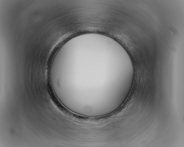 X0000111350016200907100944