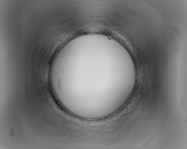 X0000111350018200907100944