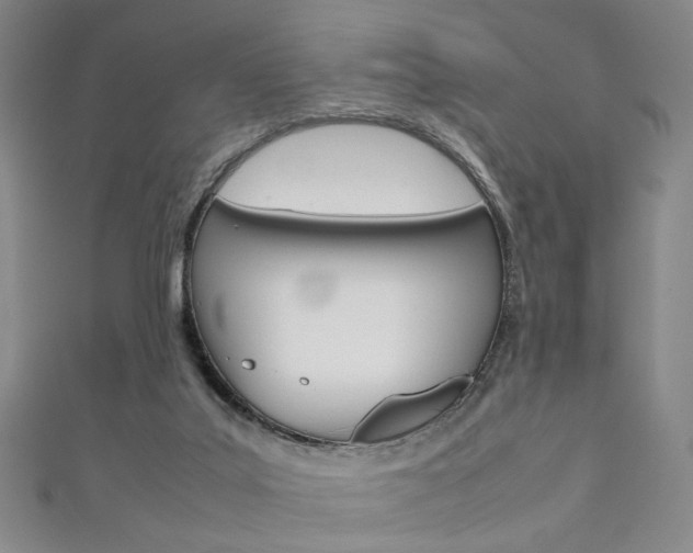 X0000111350019200907100944