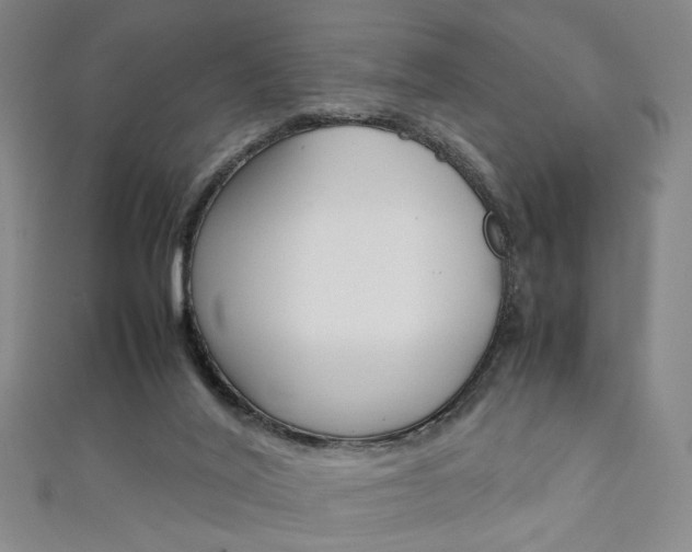 X0000111350020200907100944