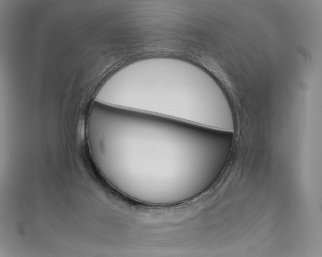 X0000111350021200907100944