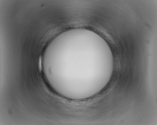 X0000111350022200907100944