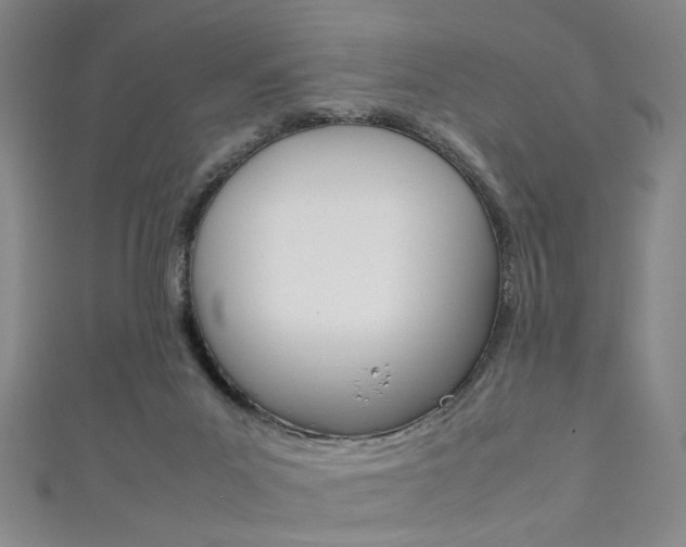 X0000111350023200907100944
