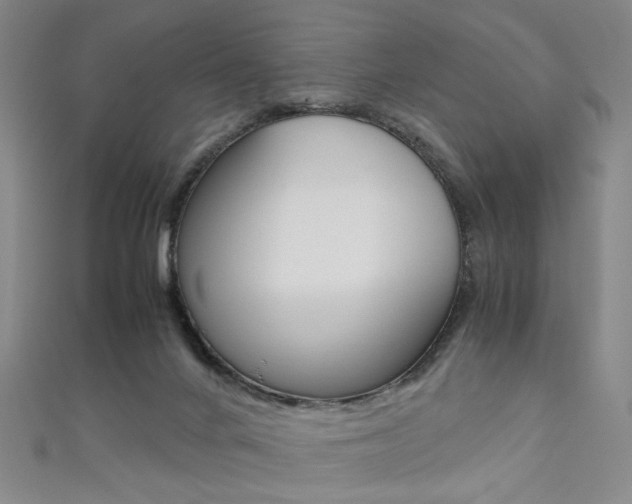 X0000111350024200907100944