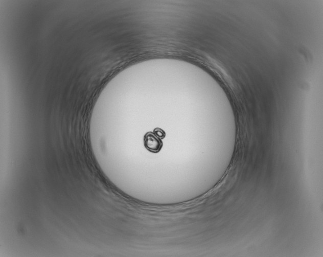 X0000111350025200907100944