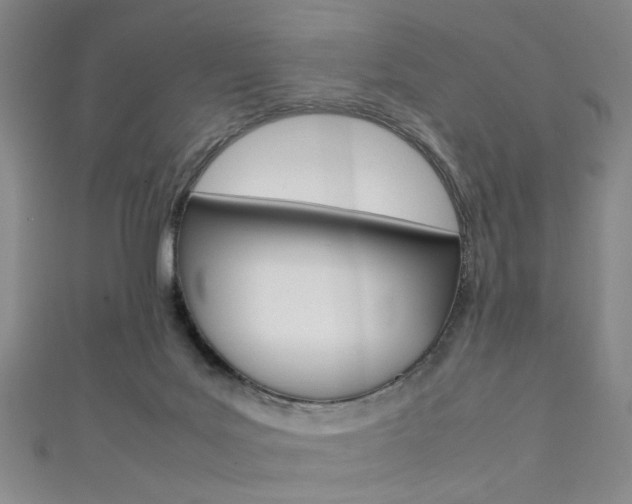 X0000111350027200907100944