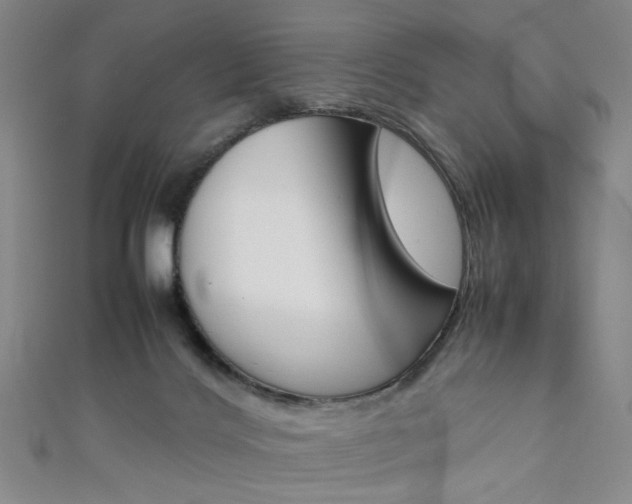 X0000111350028200907100944