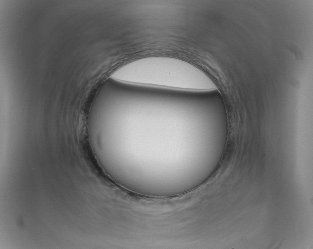X0000111350029200907100944