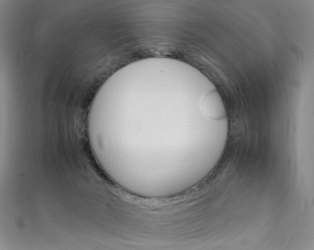 X0000111350030200907100944