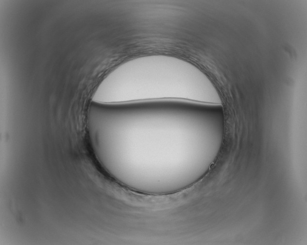 X0000111350031200907100944