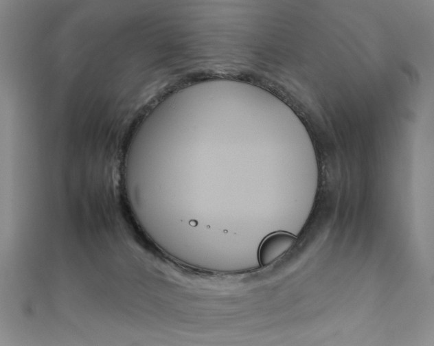 X0000111350032200907100944
