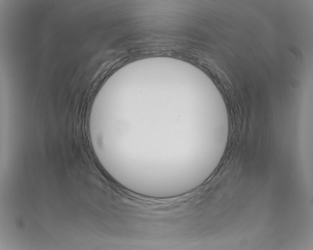 X0000111350035200907100944