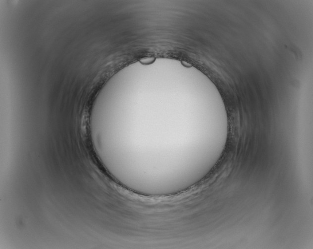 X0000111350038200907100944